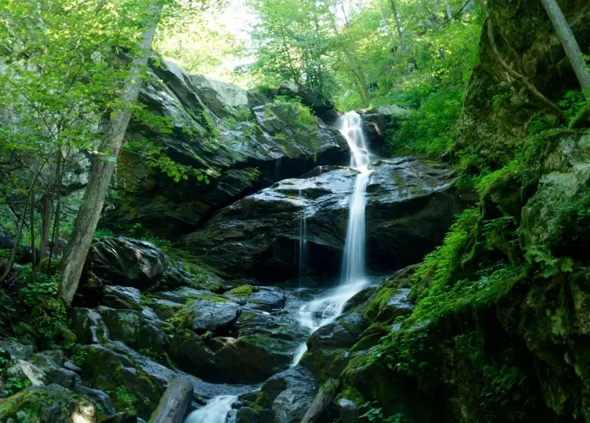 Skyline Drive Virginia