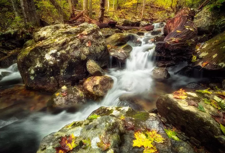 Skyline Drive Virginia