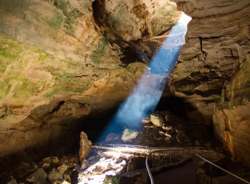 best time to visit Carlsbad Caverns