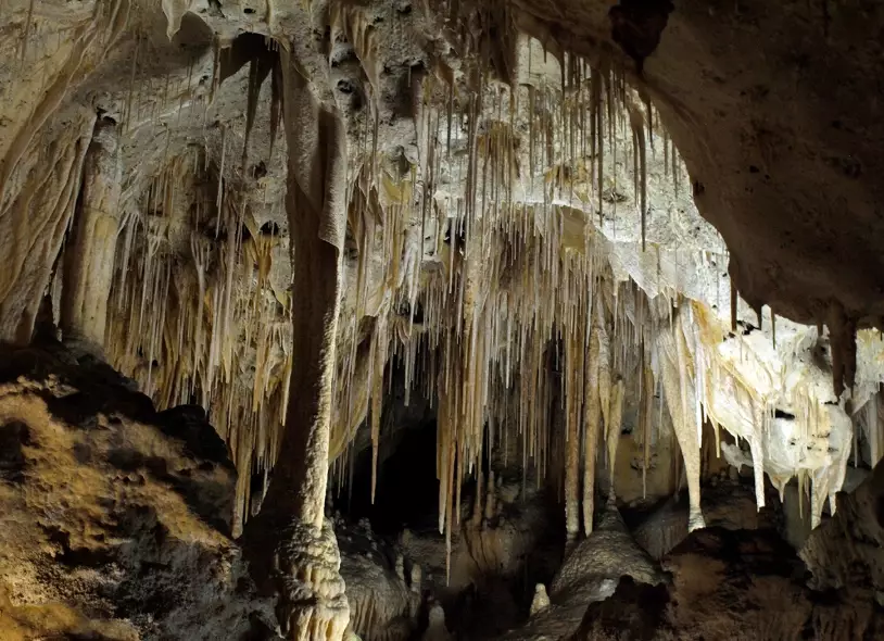 Carlsbad Caverns National Park: Your Ultimate Guide to Exploring the Underground Wonder