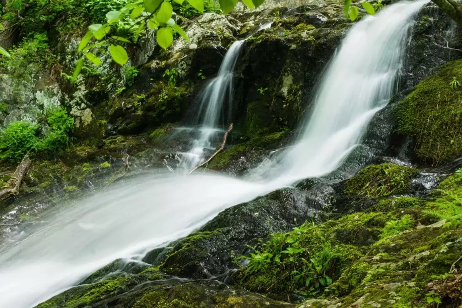 Shenandoah National Park: Your Complete Guide to Skyline Drive, Hikes & Views