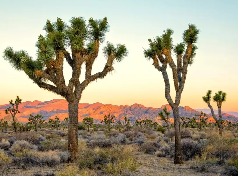 Things to do in California Things to do in California