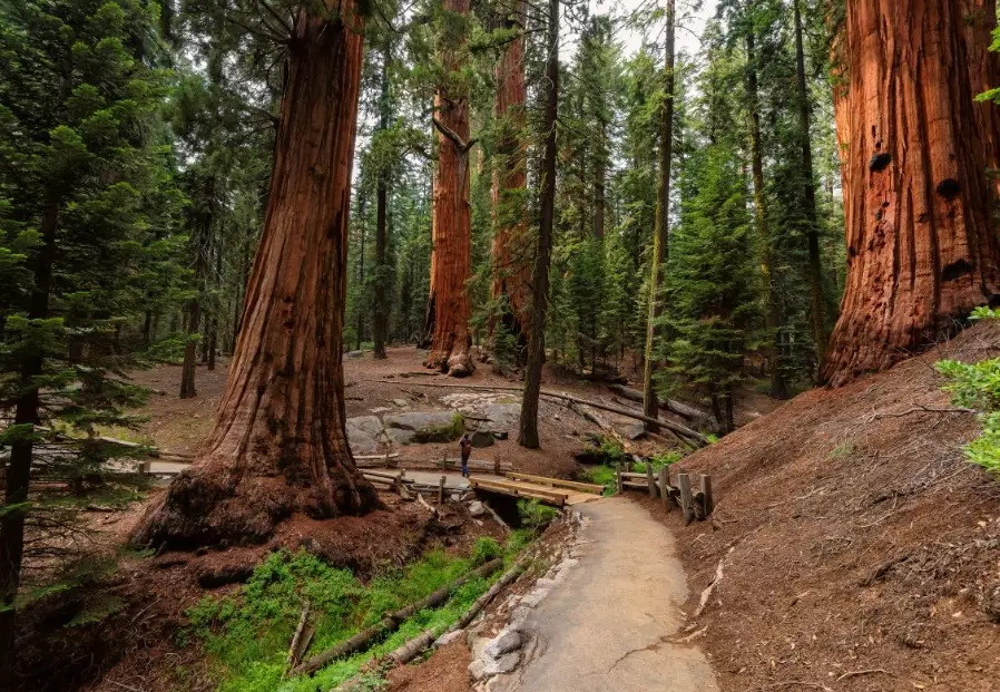 California travel guide California travel guide