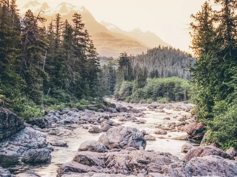 Ultimate Guide: Finding the Best Time to Visit the USA East Coast