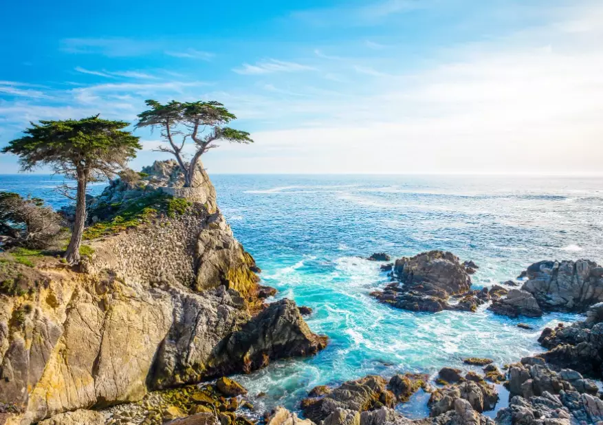 California most visited places California most visited places