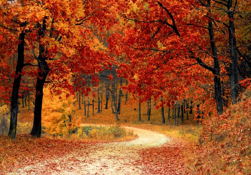 best time to visit USA