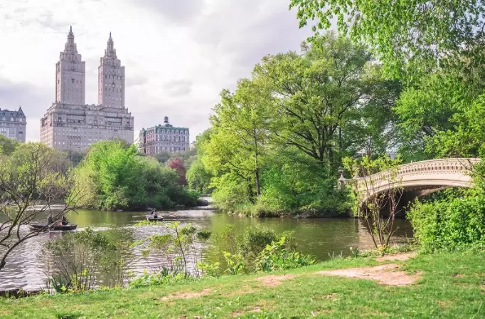 things to do in New York things to do in New York