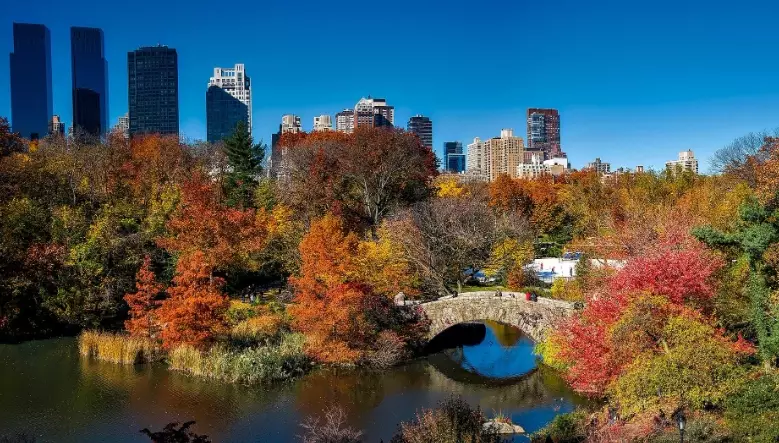 free things to do NYC