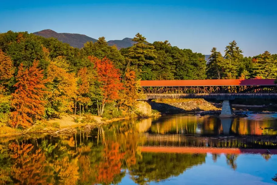 When is the Cheapest Time to Travel to the USA? (A Local's Guide)