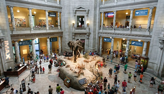 top kid-friendly destinations USA top kid-friendly destinations USA