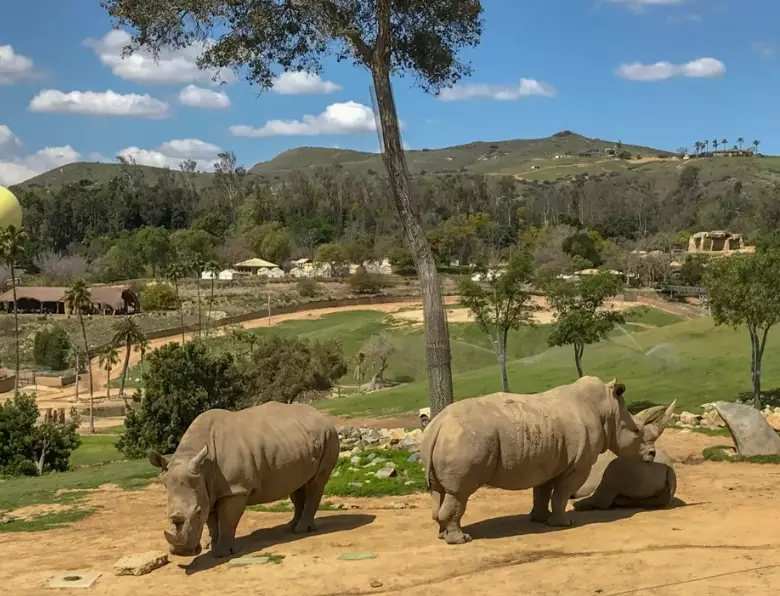 best family attractions in USA best family attractions in USA