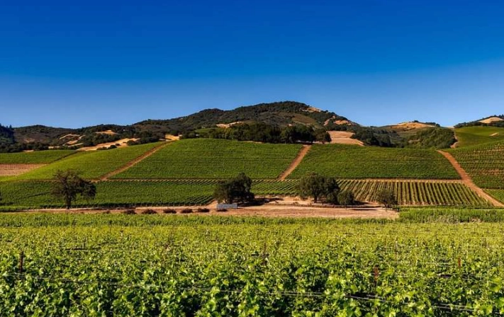 couples vacation California