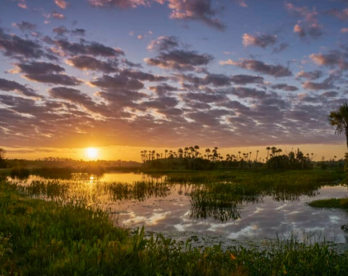 2 days in Orlando itinerary