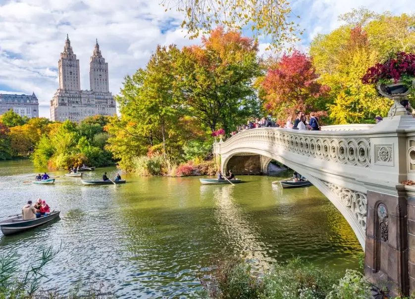 Top 5 Things to Do in New York: A Local's Insider Guide