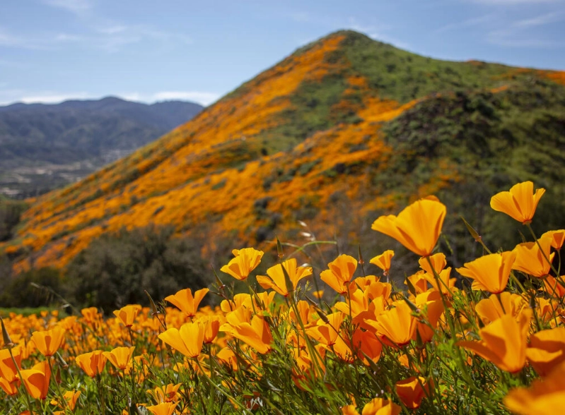 best time to visit California to avoid crowds best time to visit California to avoid crowds