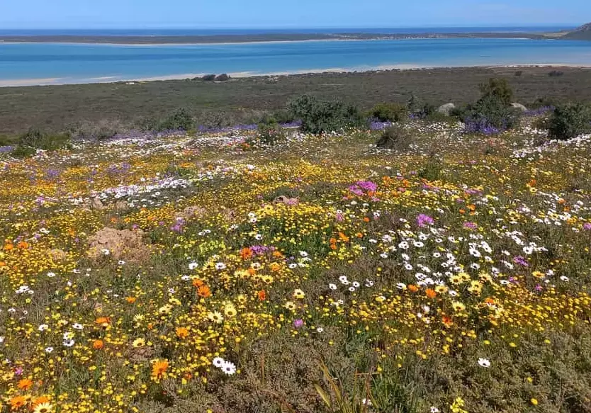 west coast travel seasons