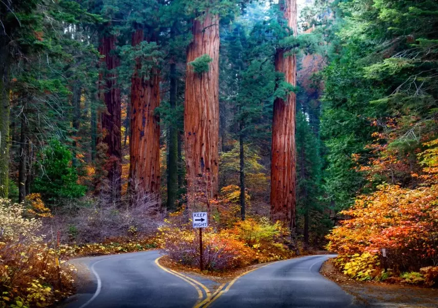 Ultimate Guide to Best Time for Each California National Park