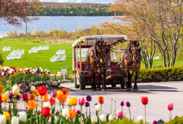 Unique Family Vacations USA on a Budget: 7 Unforgettable Ideas