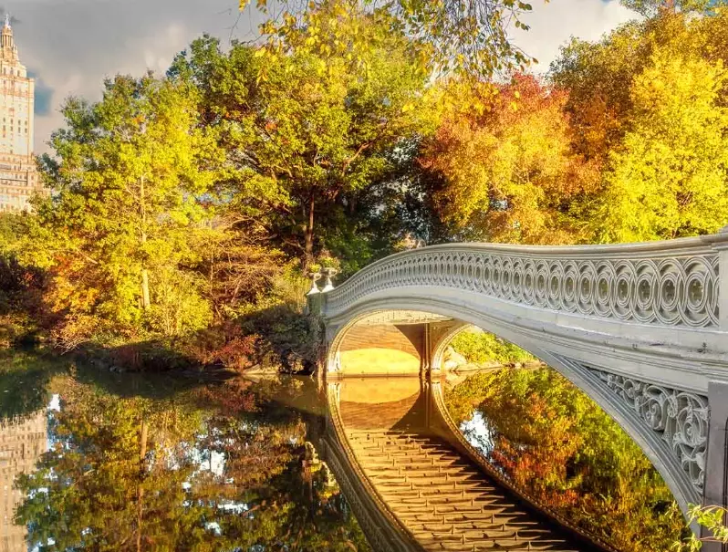 things to do in NYC October