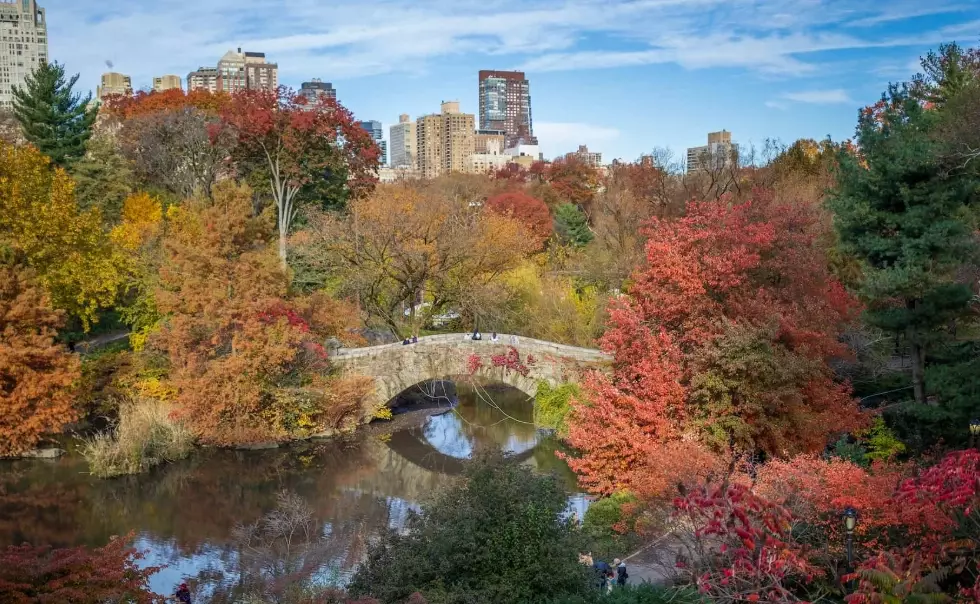Best Time to Visit New York in October: Weather, Crowds & Events