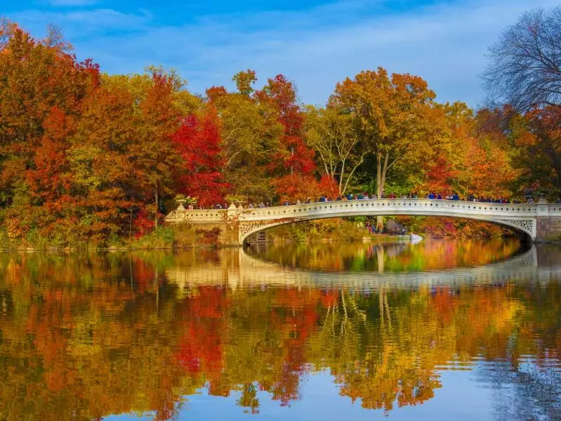 best week to visit NYC October