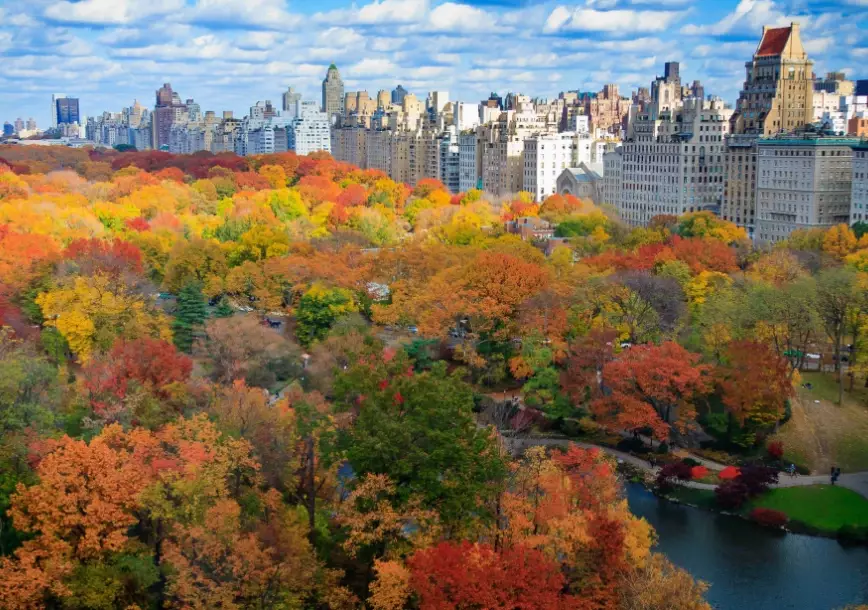 things to do in NYC October