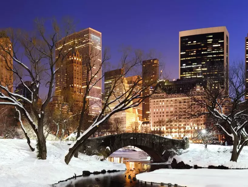 best time to see snow in New York