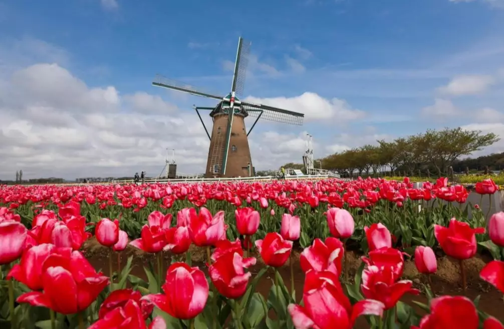 cheapest time to fly to USA