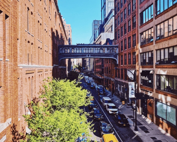 Ultimate Guide: Best Time to Visit New York City (Month-by-Month)