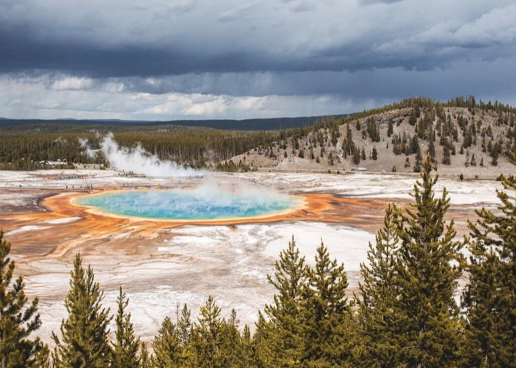 Times Square visitor numbers Times Square visitor numbers