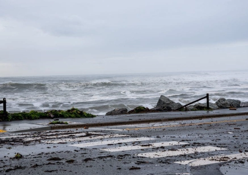 What's the Rainiest Month in California? (Plus Regional Guide)