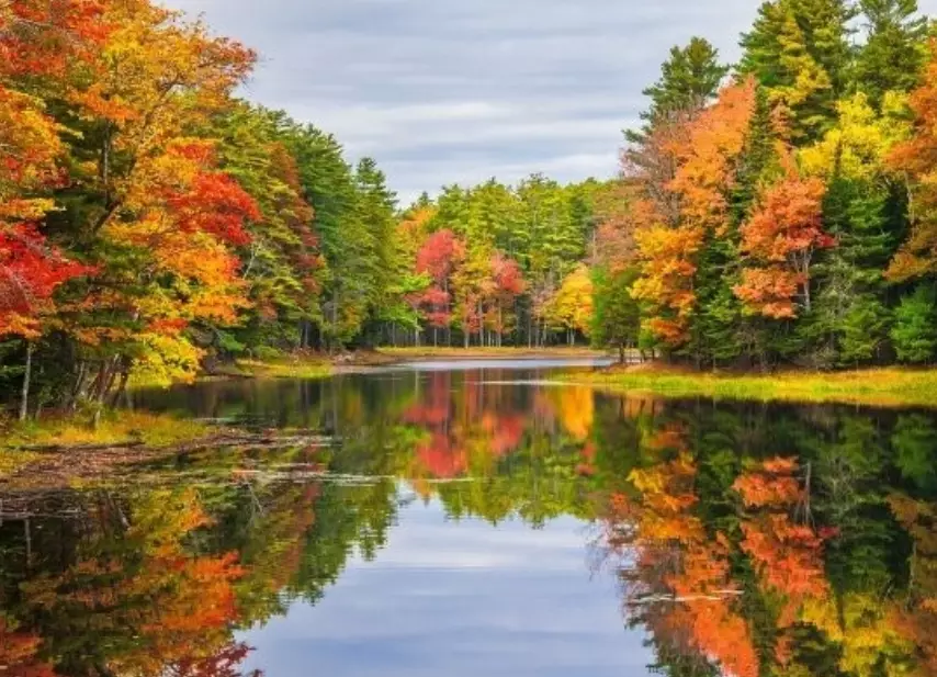 best time to see fall colors