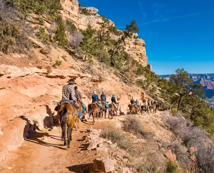 best places to travel with kids in America best places to travel with kids in America