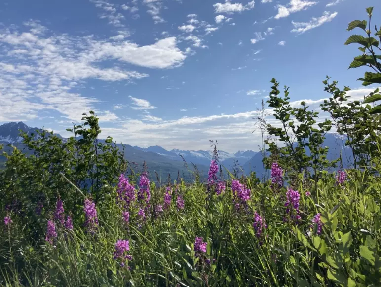 best time to visit USA