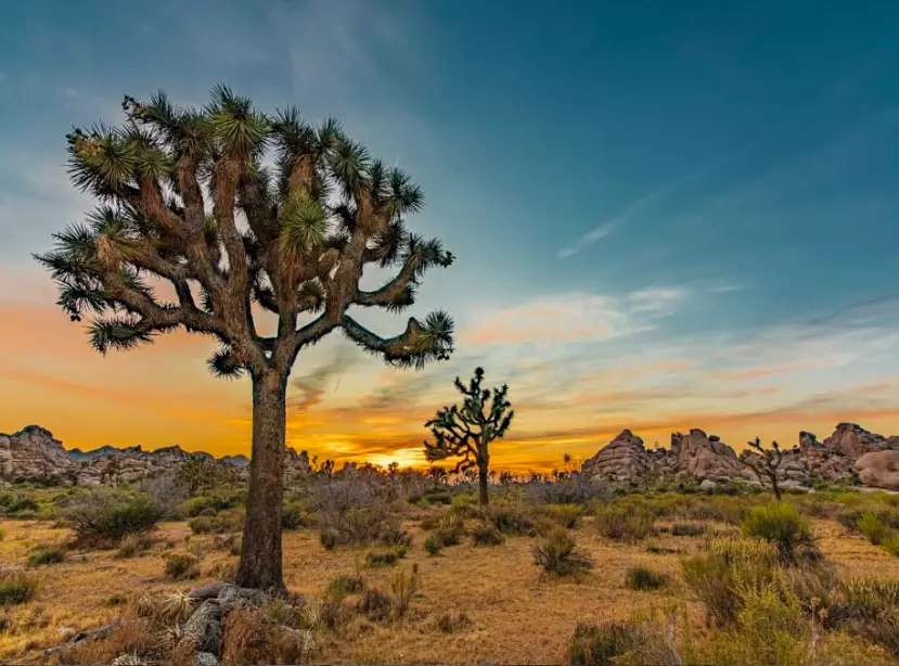 Romantic getaways in Southern California on a budget