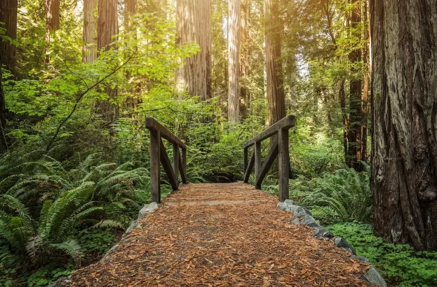 off the beaten path california off the beaten path california