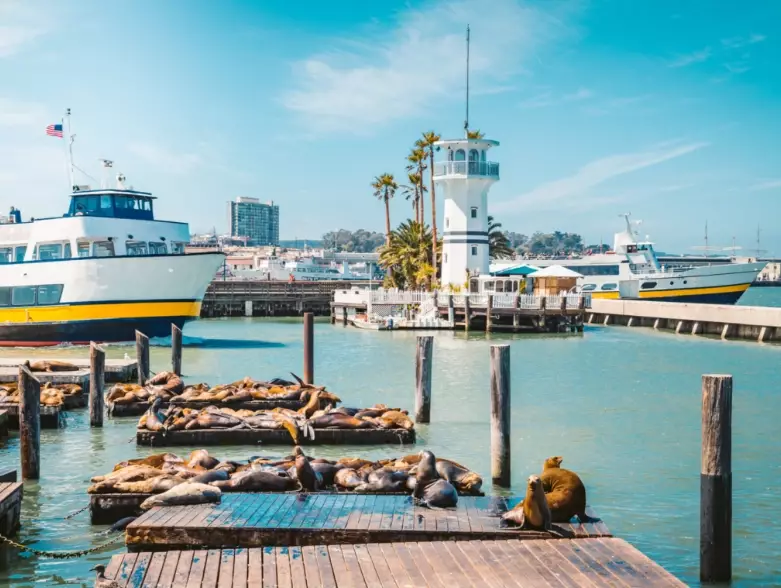 is San Francisco safe is San Francisco safe