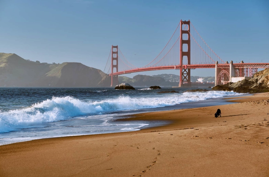 What to do in San Francisco for the first time?