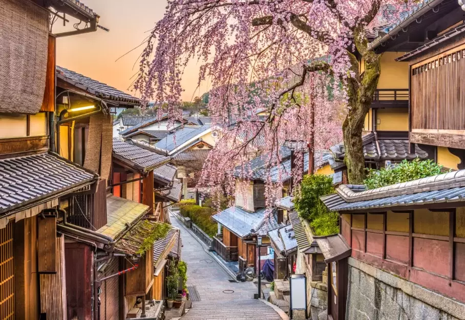 world travel guide