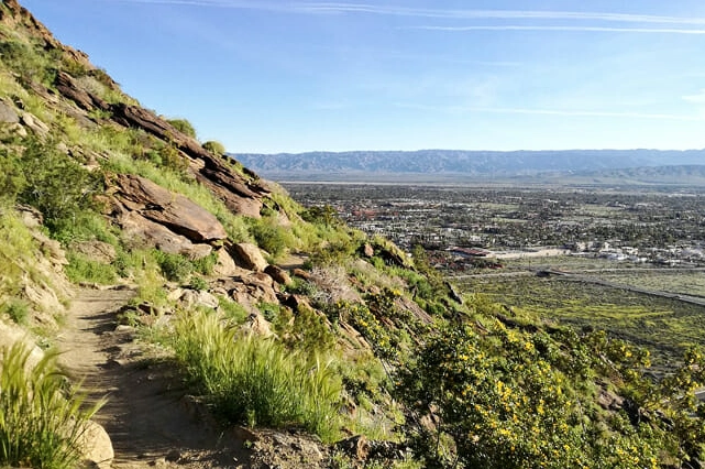 Free things to do in california for young adults